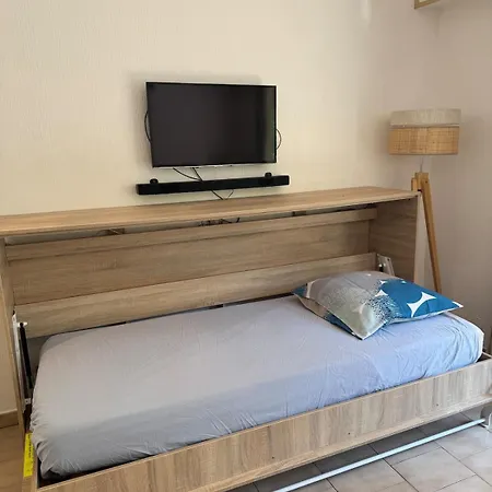 Apartment Avec Terrasse, 150m De La Saint-Raphael (Var)